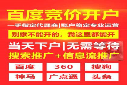 SEM精准广告投放的五大成功案例